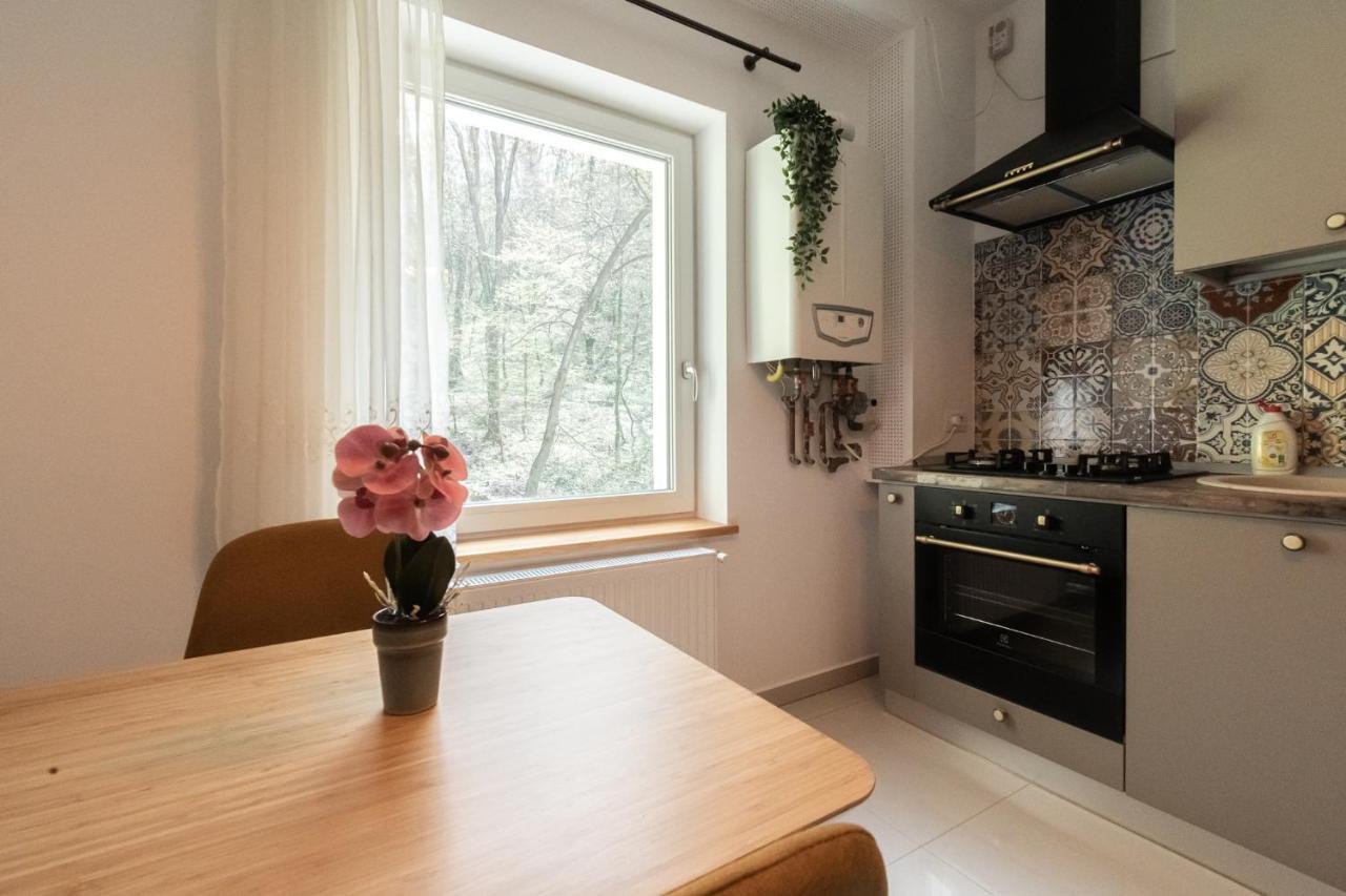 Nature Apartment - Minutes Away From The Old Town And Afi Mall Brasov Exterior photo